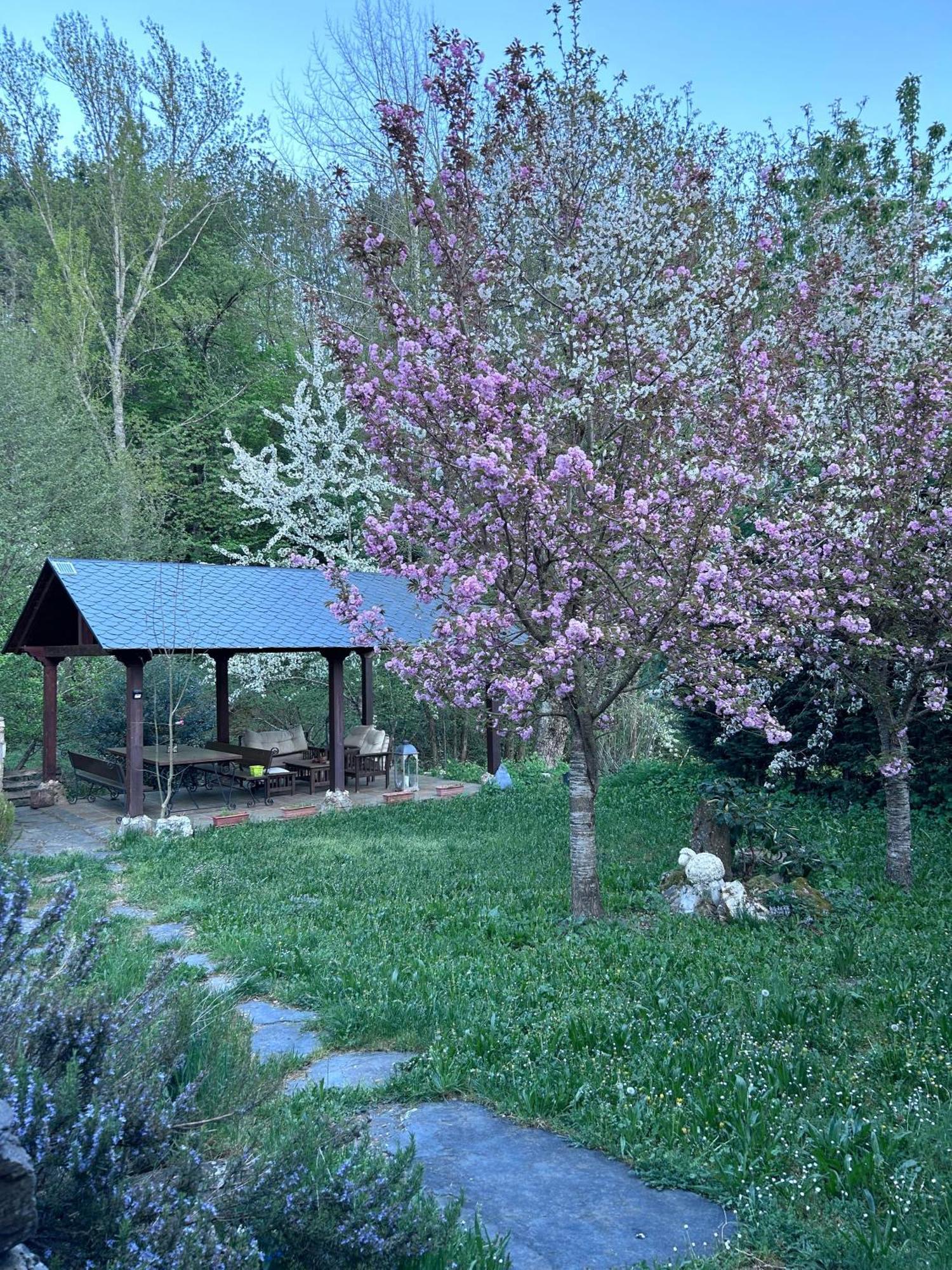 فيلا Casa Begona Iguena المظهر الخارجي الصورة